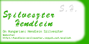 szilveszter hendlein business card